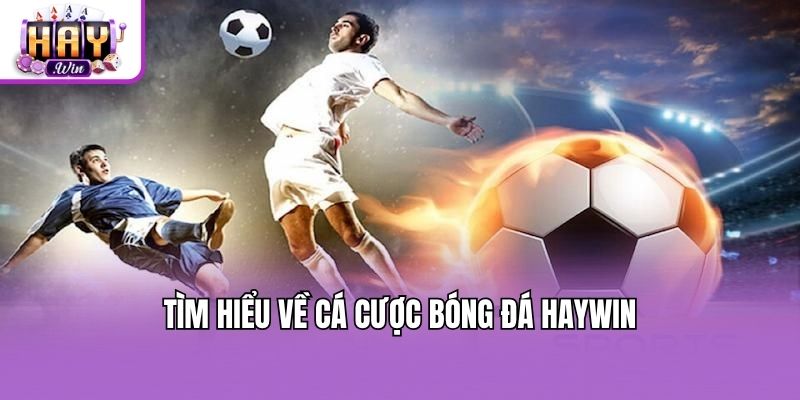 Tìm hiểu về cá cược bóng đá Haywin